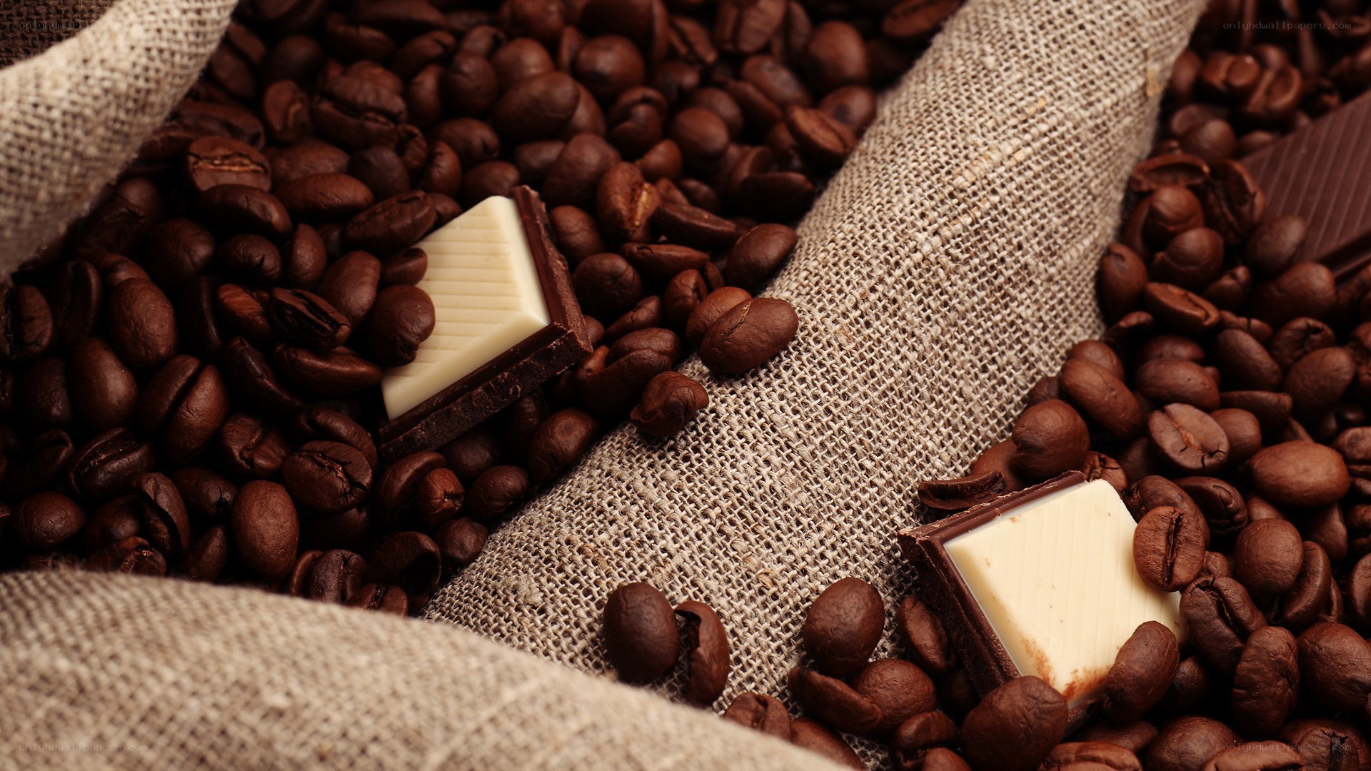 coffee beans with chocolate pieces
