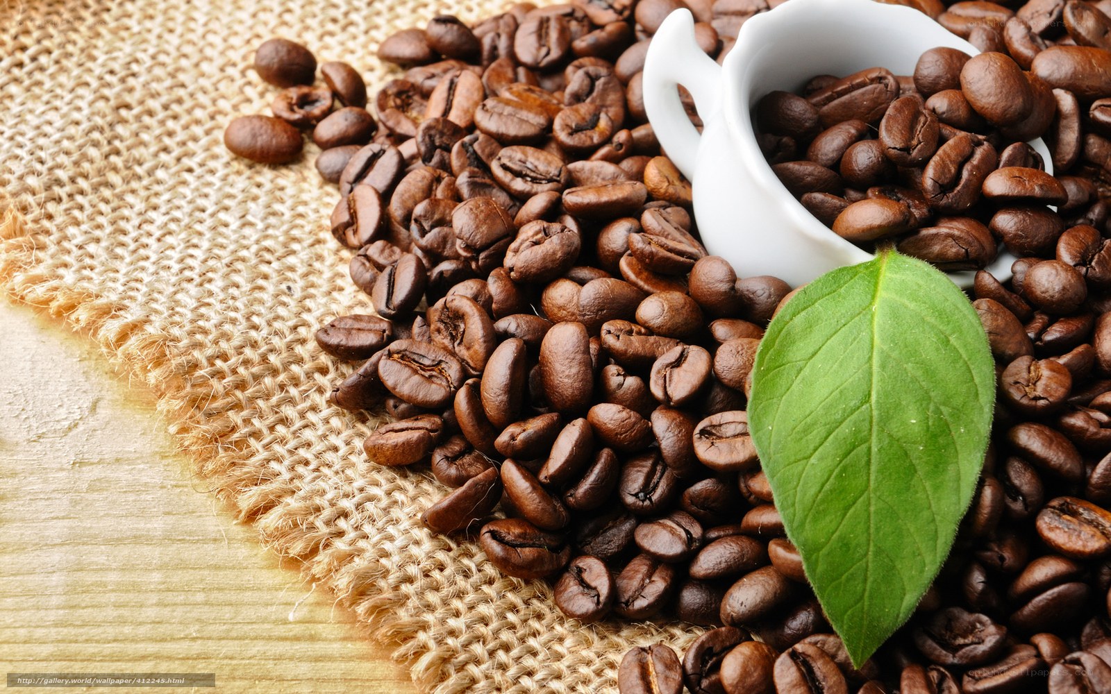 coffee beans with green leaf
