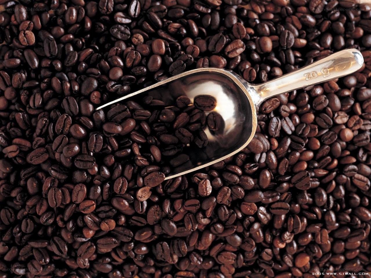coffee beans with scoop