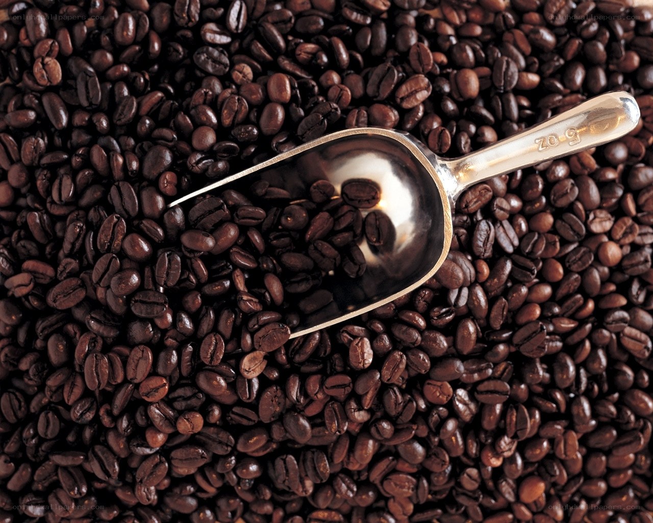 coffee beans with scoop