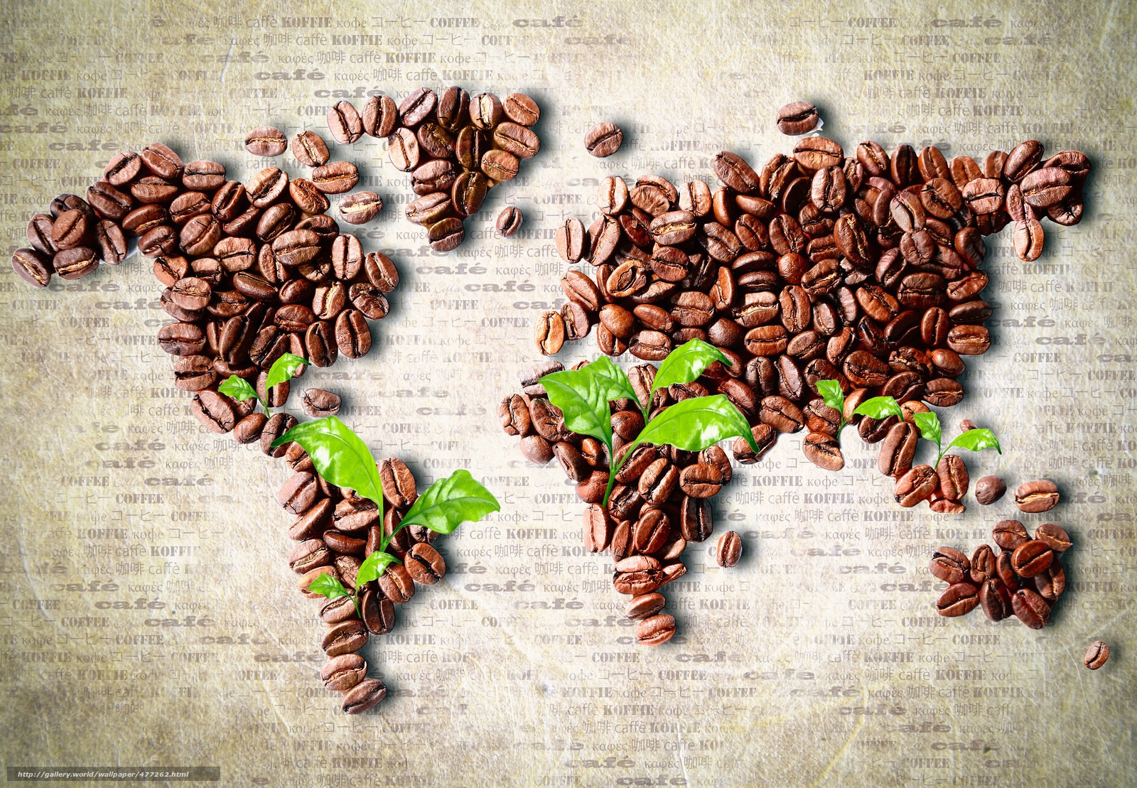 coffee beans world map