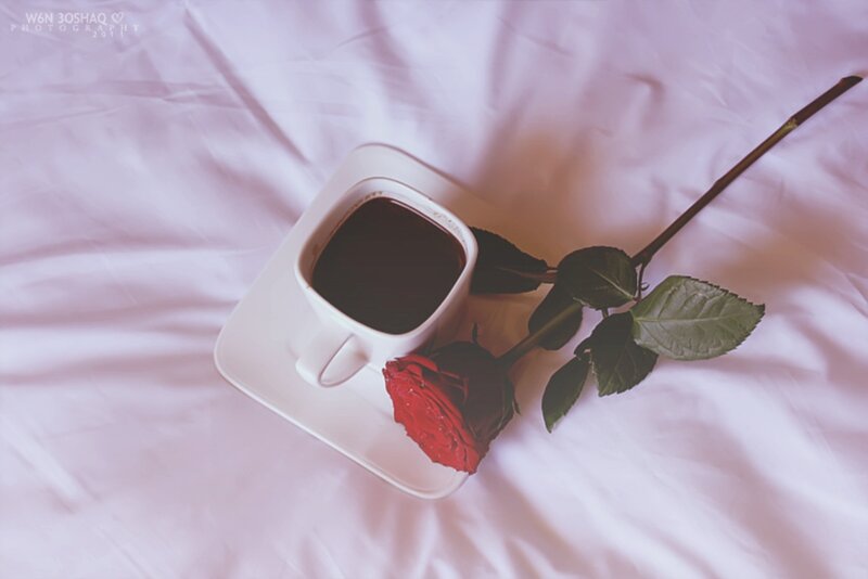 Coffee Cup and Rose