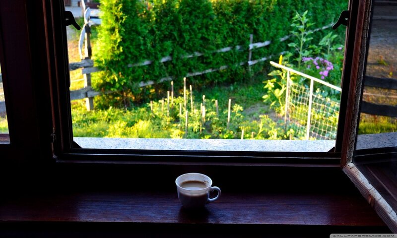 Coffee cup by the window