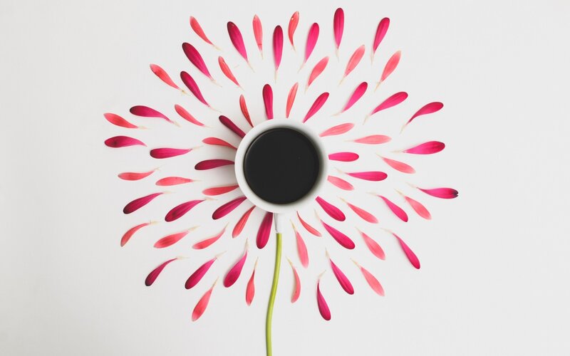 Coffee Cup Flower