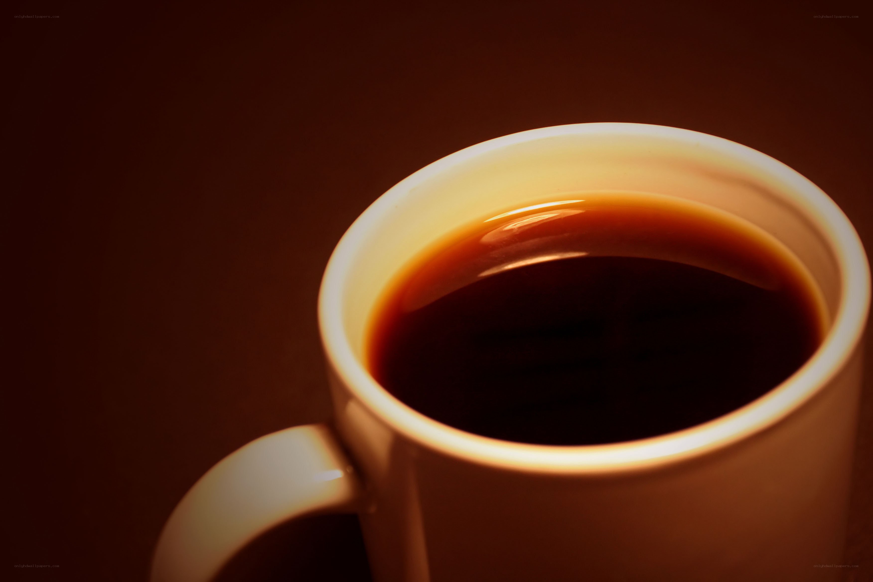 coffee cup in warm light