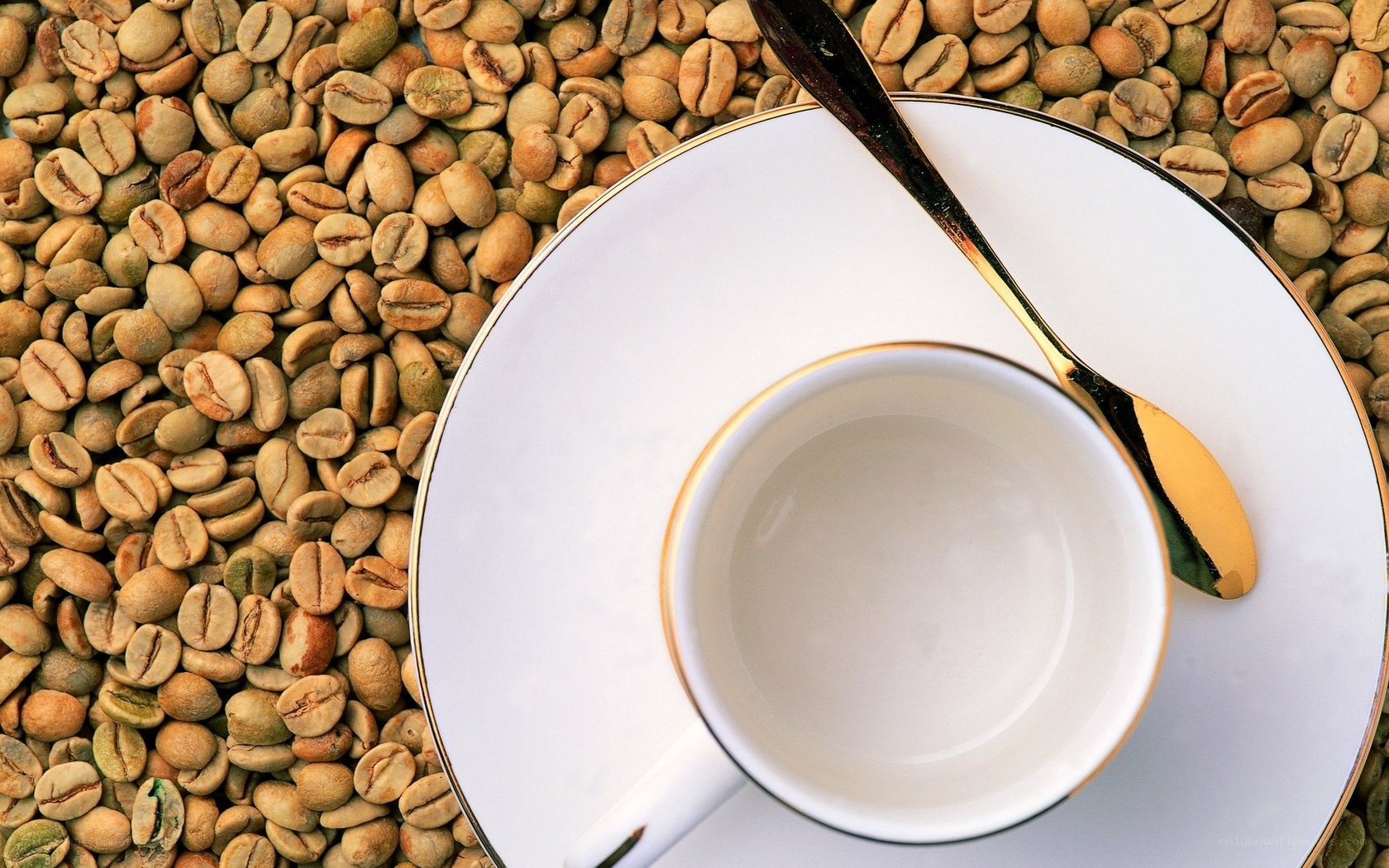 coffee cup on beans background
