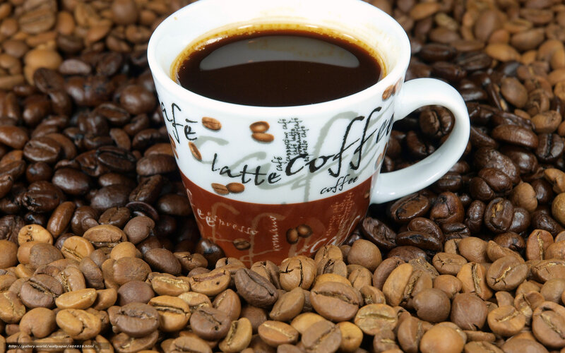 Coffee Cup on Beans — Brown, Calm, Photograph, Coffee Beans, Text