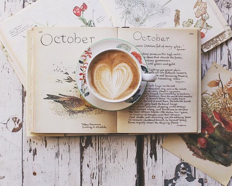 Coffee Cup on Book — White, Calm