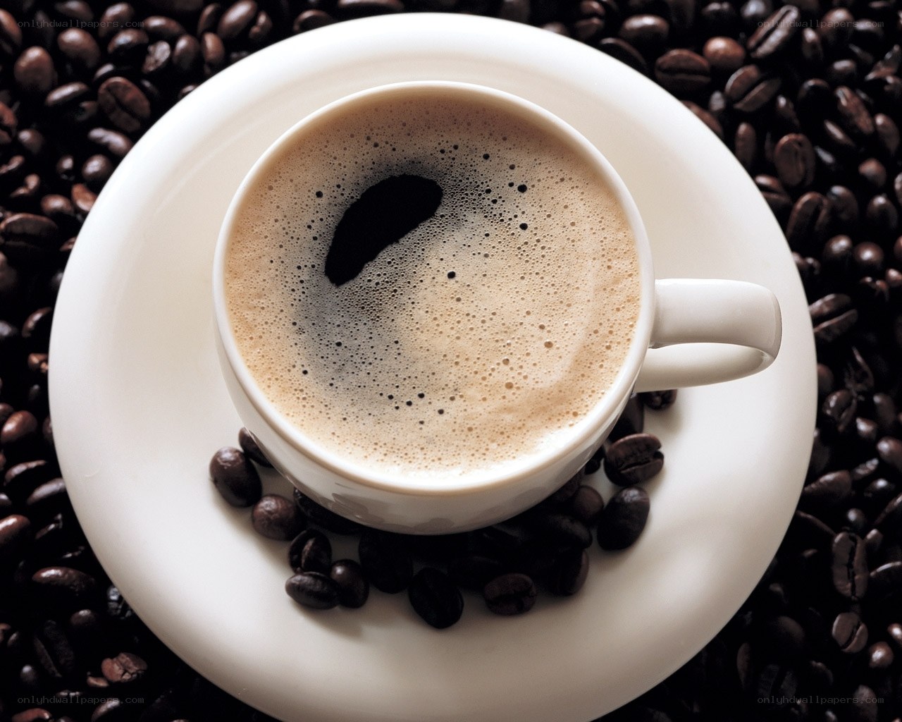 coffee cup on coffee beans