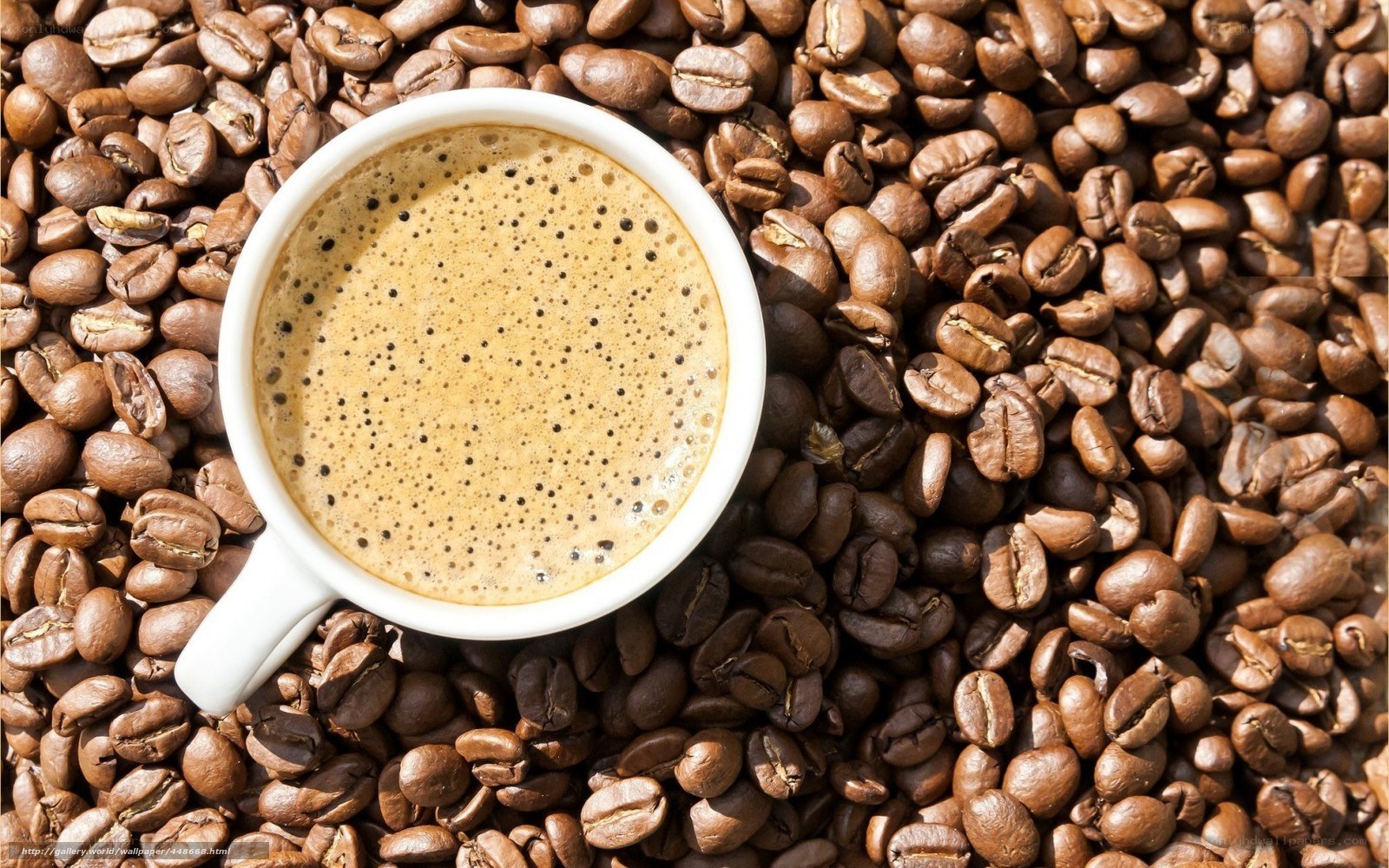 coffee cup on coffee beans