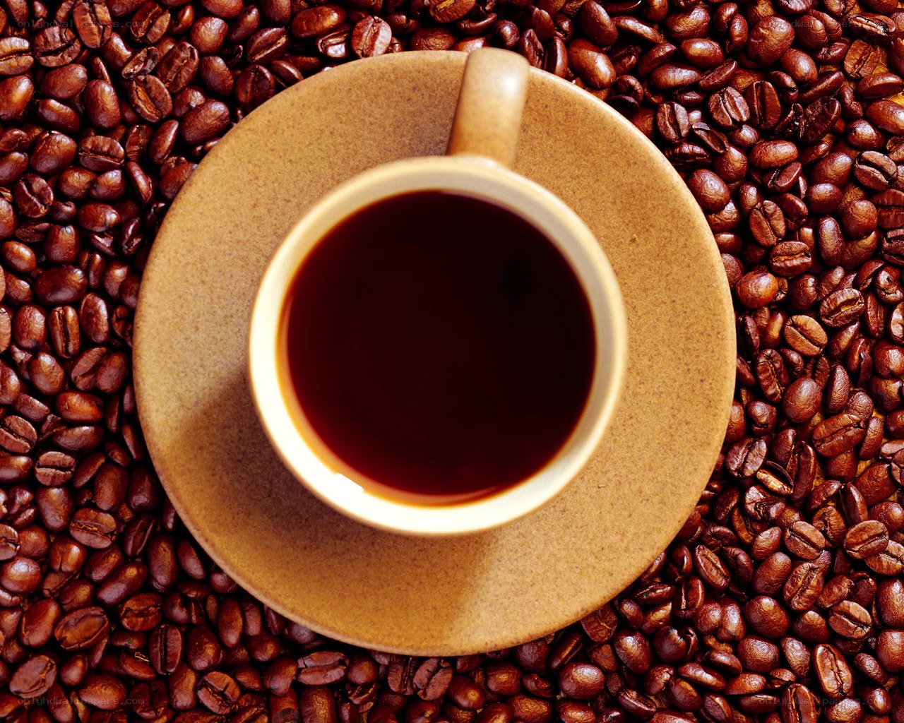 coffee cup on coffee beans