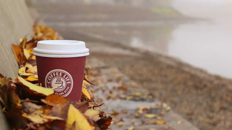 Coffee Cup on Leaves
