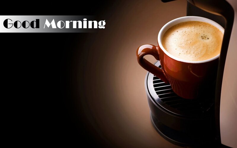 Coffee Cup on Machine — Brown, Calm