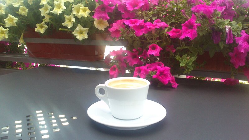 Coffee Cup on Table — White, Calm, Morning