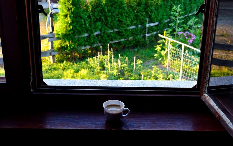 coffee cup on windowsill