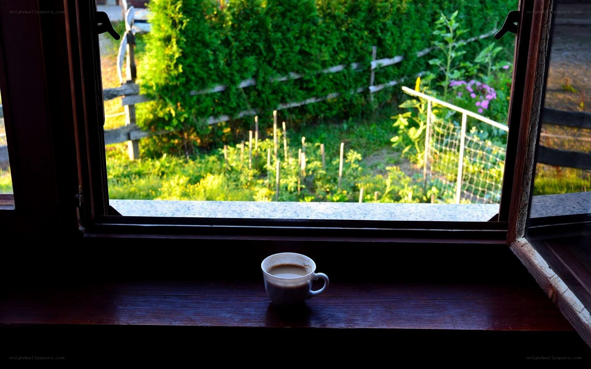 coffee cup on windowsill