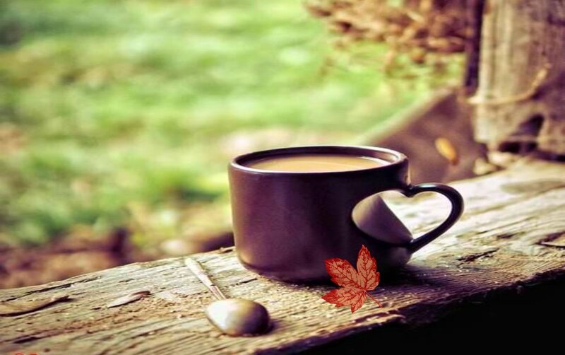 Coffee Cup on Wood — Brown, Serene