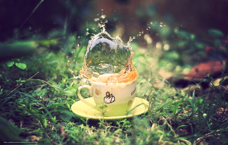 coffee cup splash in grass