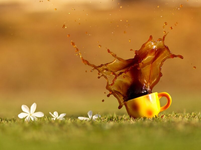 Coffee Cup Splash