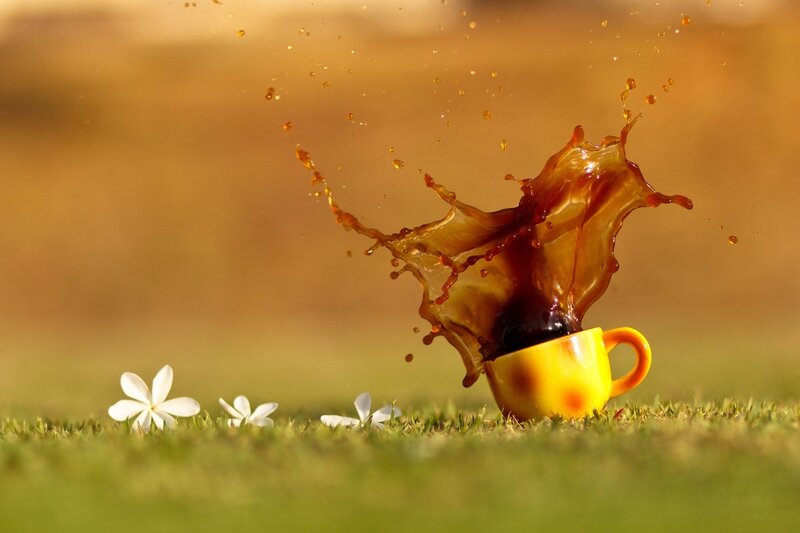 Coffee Cup Splashing — Green, Dynamic, Morning