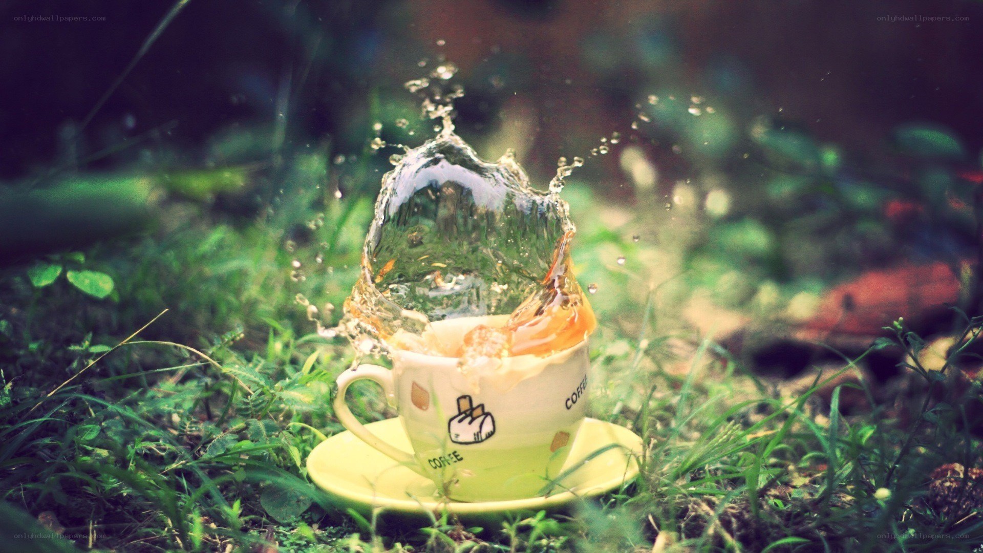 coffee cup splashing in grass