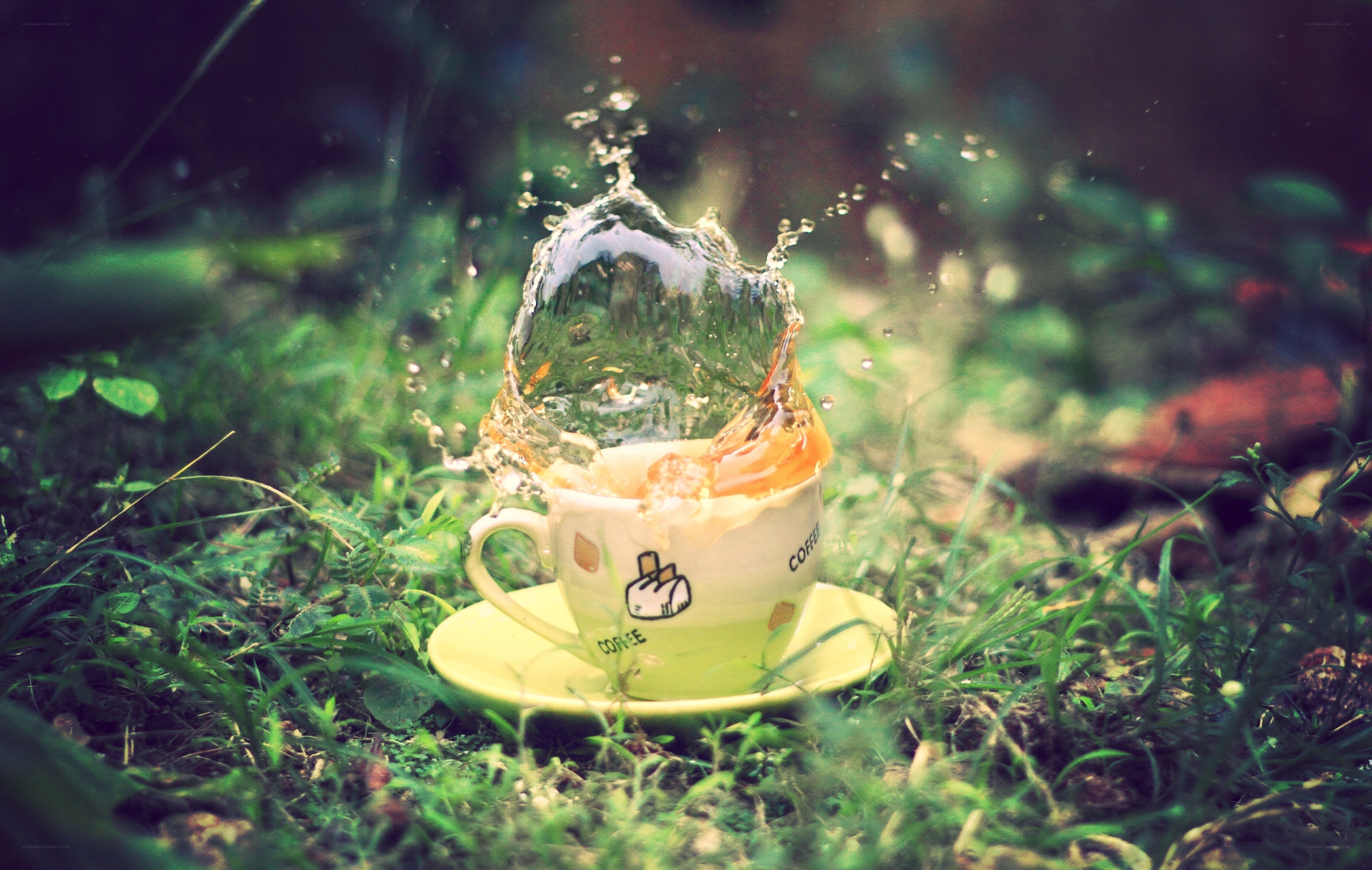 coffee cup splashing in grass