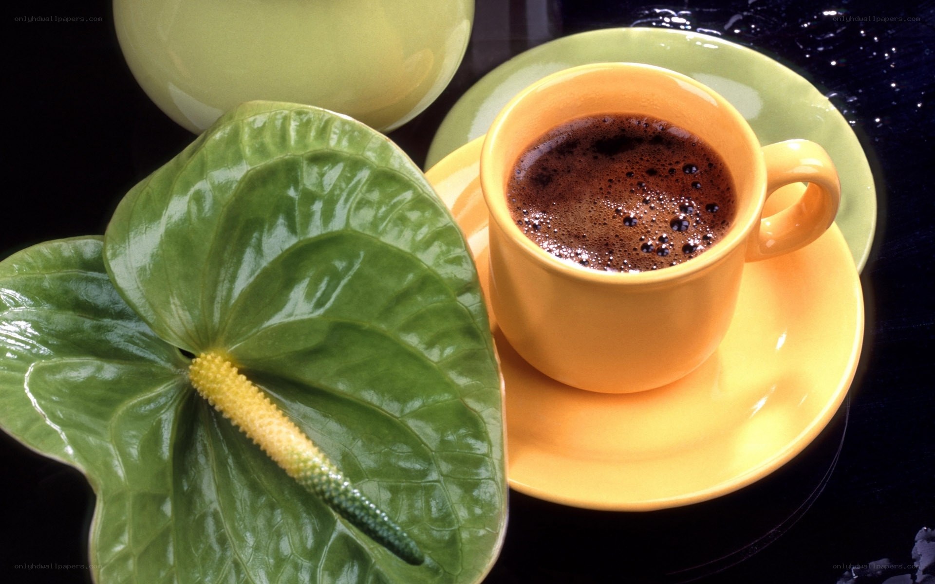 Coffee cup with anthurium flower