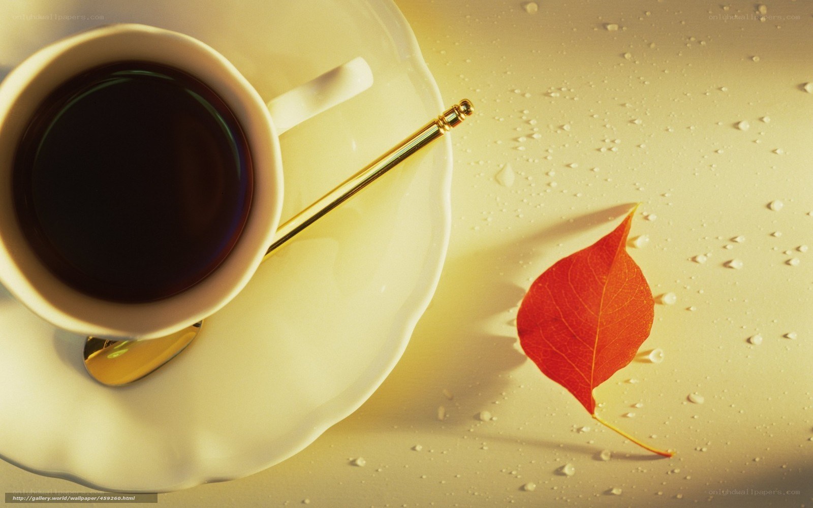 coffee cup with autumn leaf