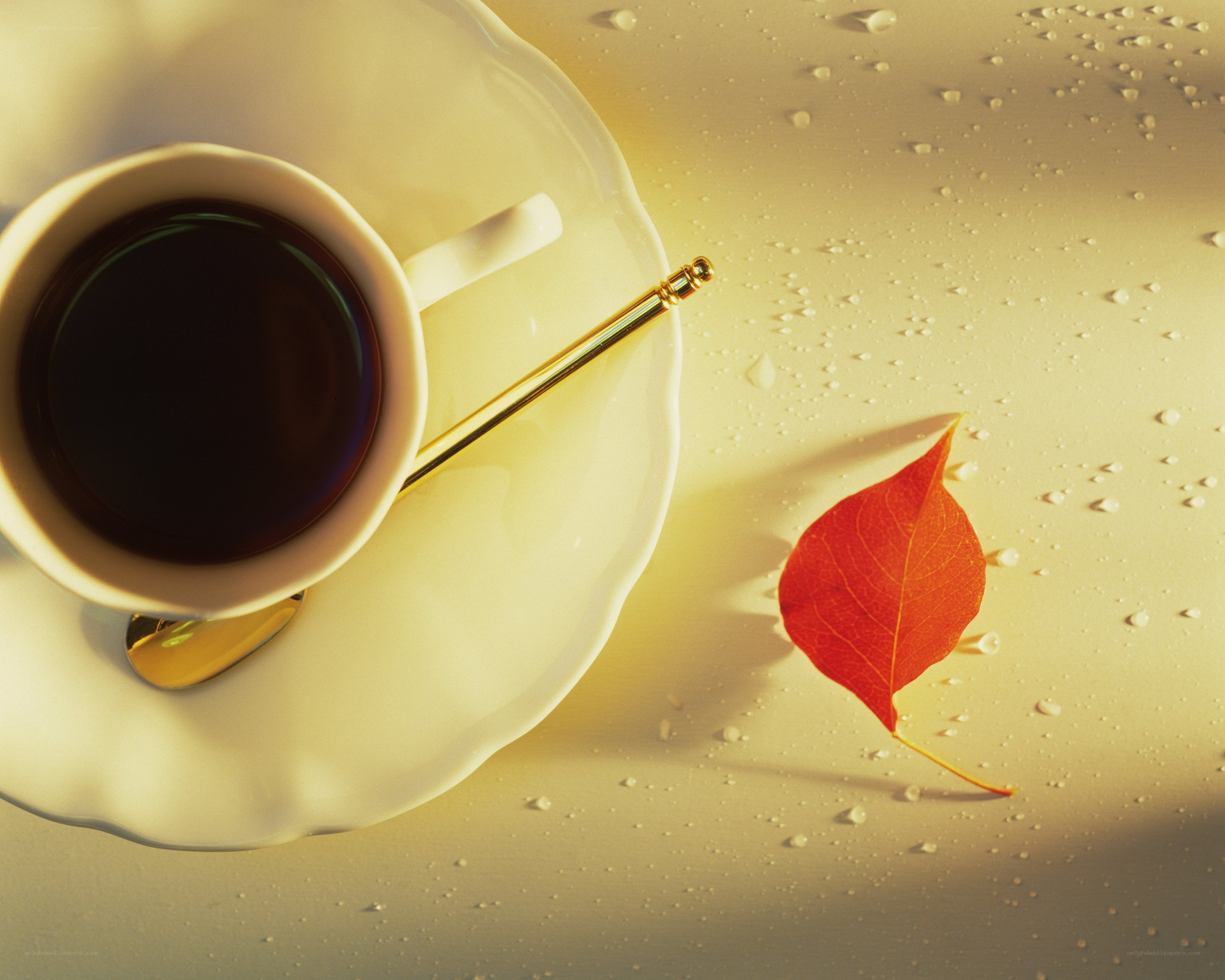 Coffee cup with autumn leaf