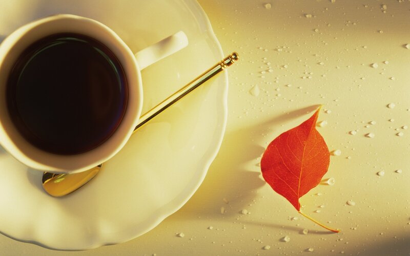 coffee cup with autumn leaf