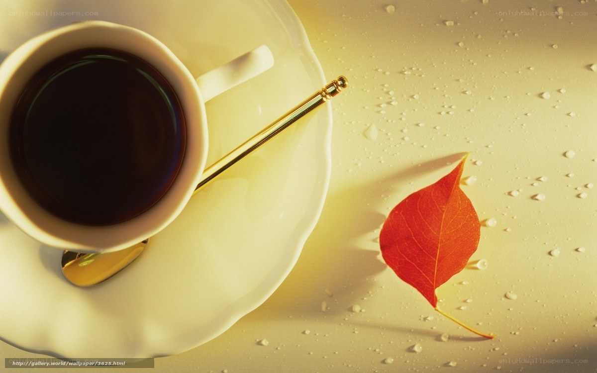 coffee cup with autumn leaf