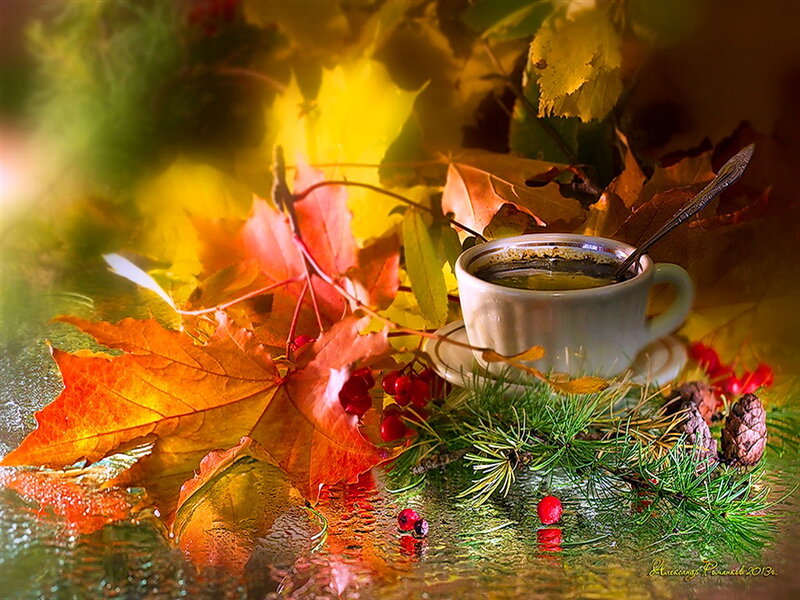 Coffee Cup with Autumn Leaves — Orange, Cozy