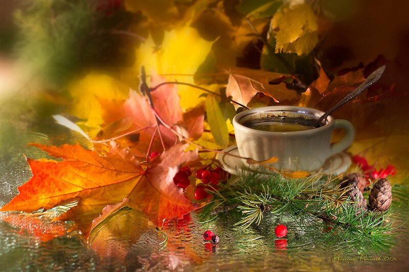 Coffee Cup with Autumn Leaves — Orange