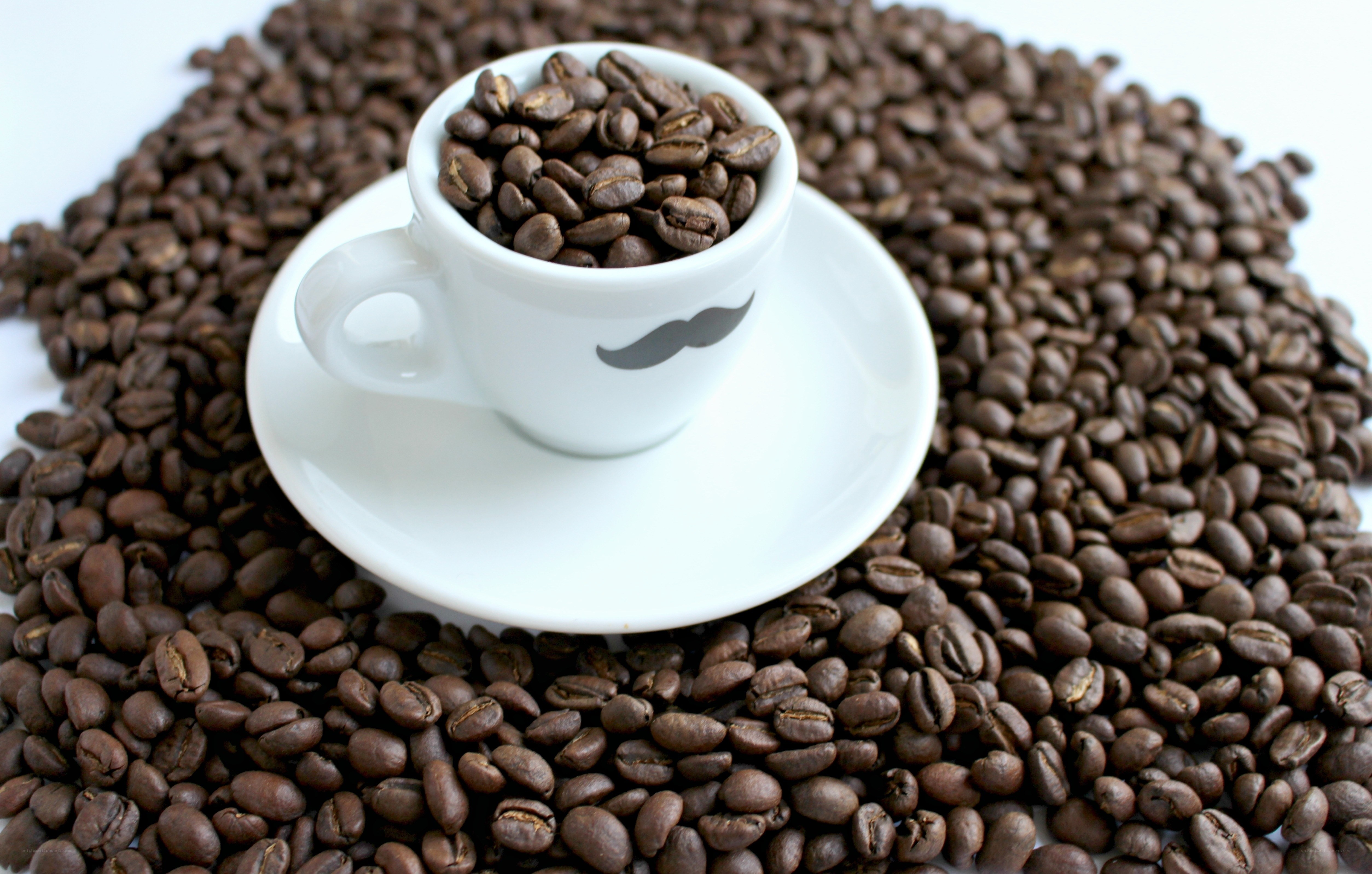 coffee cup with beans