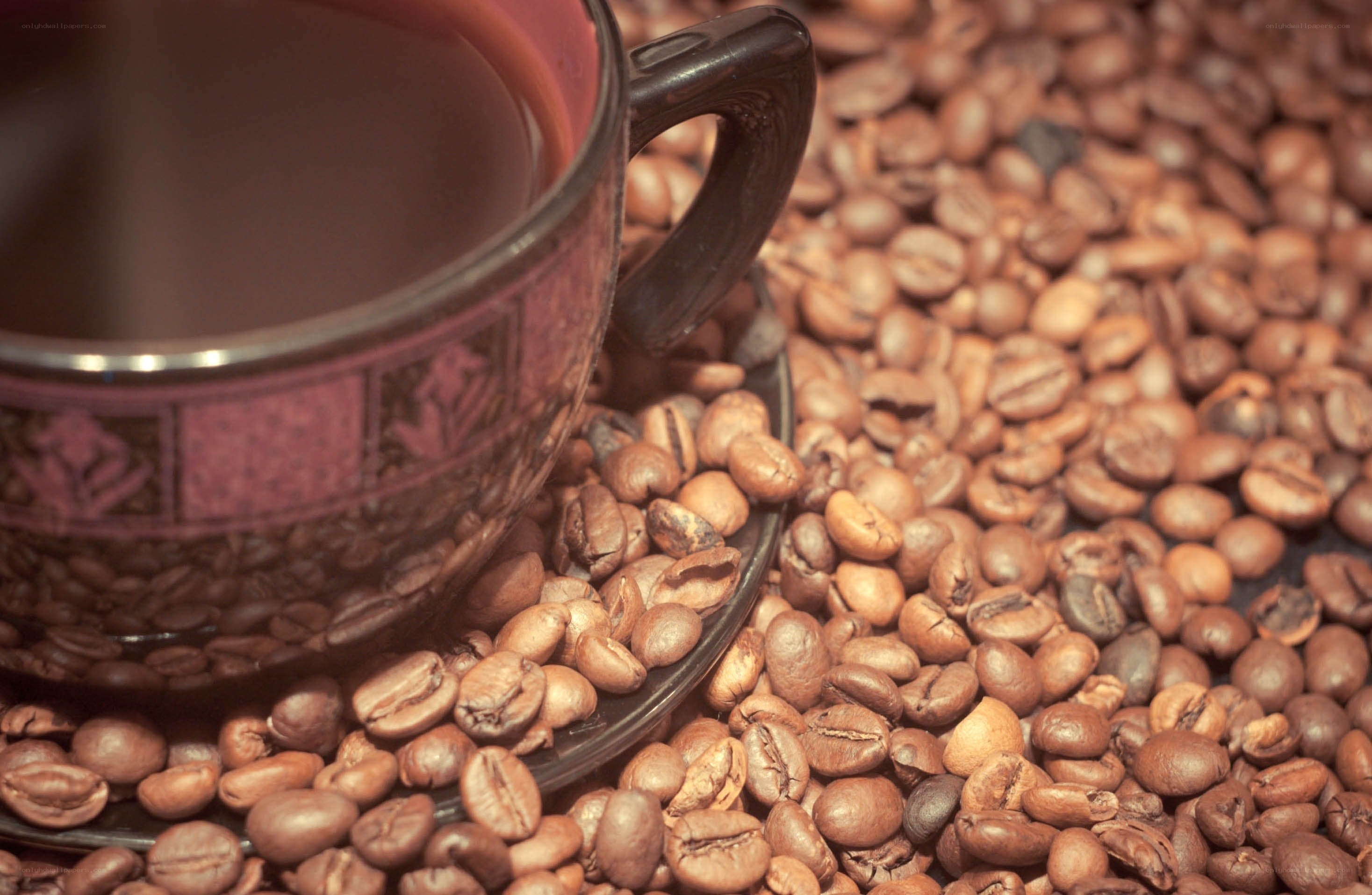 coffee cup with beans