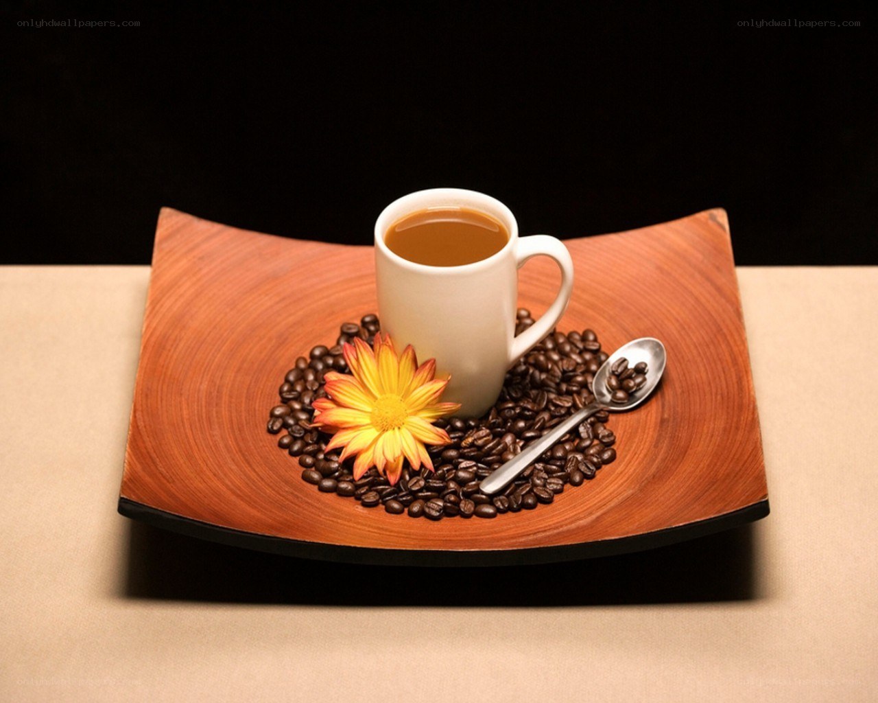 Coffee cup with beans and flower