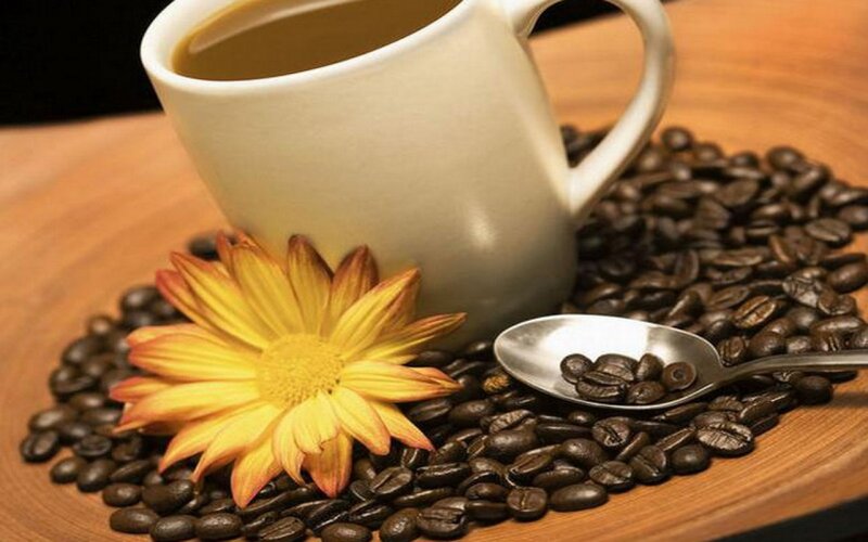 Coffee Cup with Beans — Brown, Calm, Morning