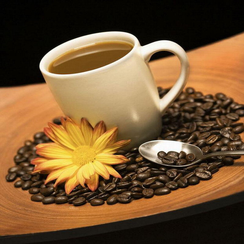 Coffee Cup with Beans — Brown, Calm, Photograph, Flower