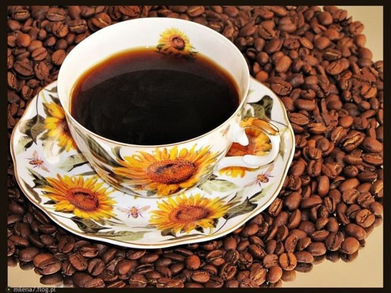 Coffee Cup with Beans — Brown, Calm, Photograph, Sunflowers