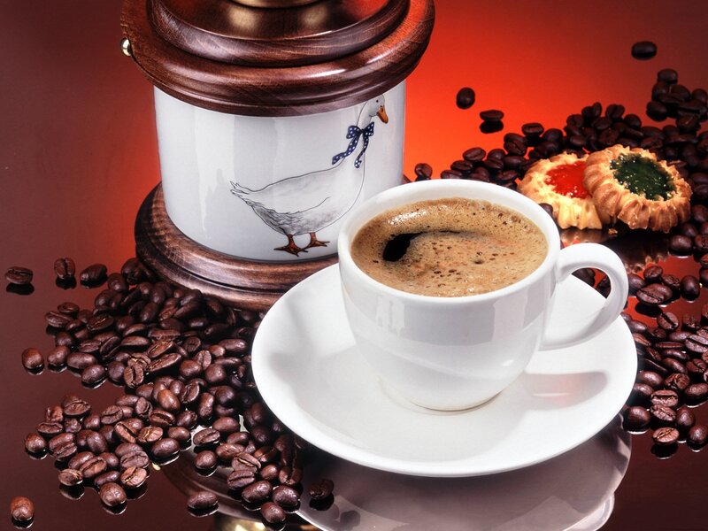 Coffee Cup with Beans — Brown, Warm, Photograph, Coffee Beans