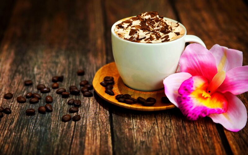 Coffee Cup with Chocolate Shavings — Brown