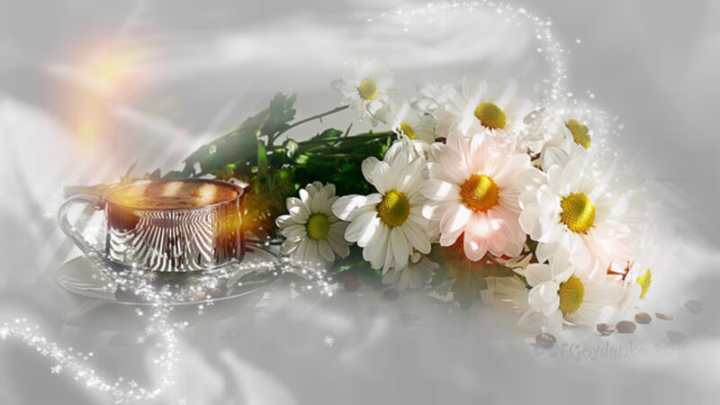 Coffee Cup with Daisies — White