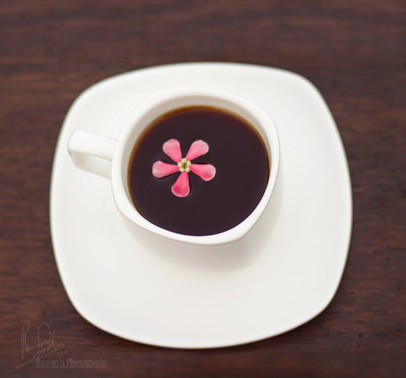 Coffee Cup with Flower — Brown, Serene