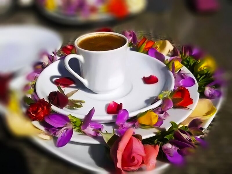 Coffee Cup with Flowers — White, Serene, Morning, Photograph, Plate