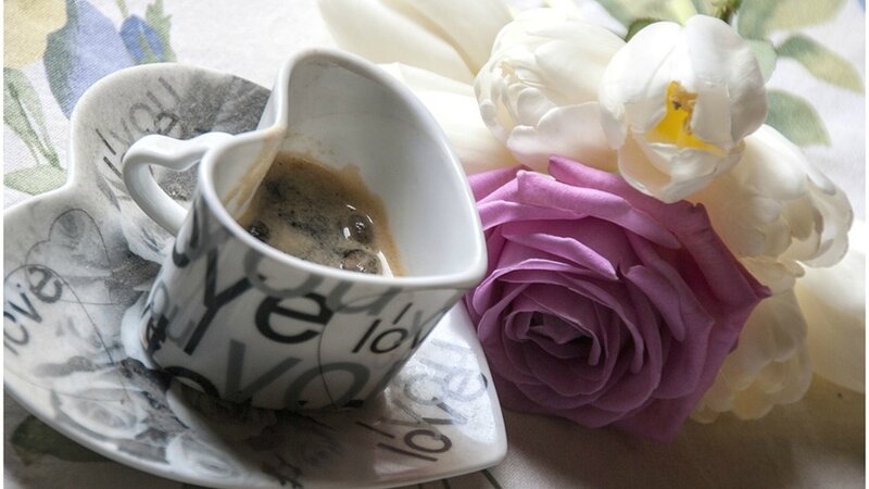 Coffee Cup with Flowers — White, Serene, Morning, Photograph, Rose