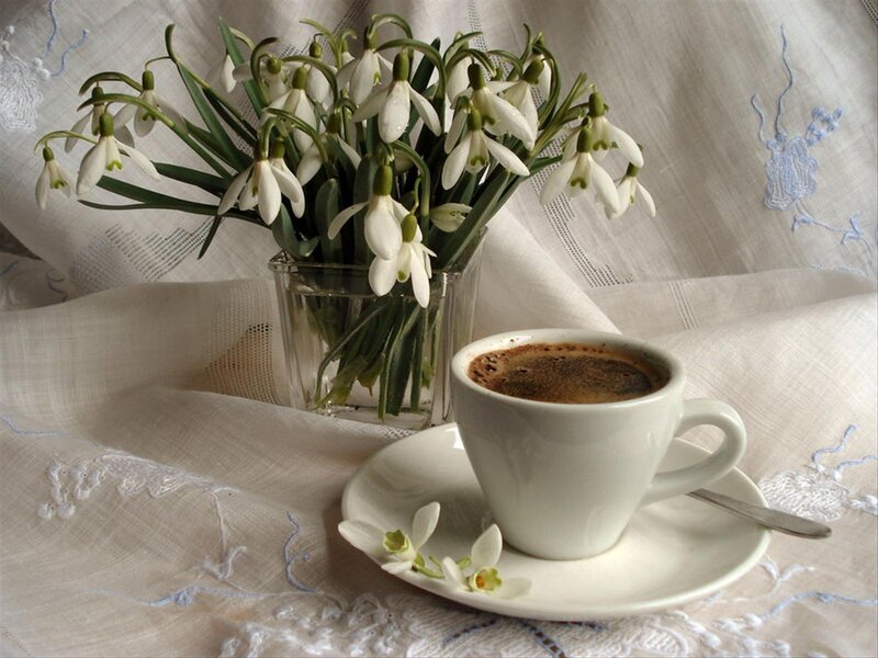 Coffee Cup with Flowers — White, Serene, Morning, Photograph, Saucer
