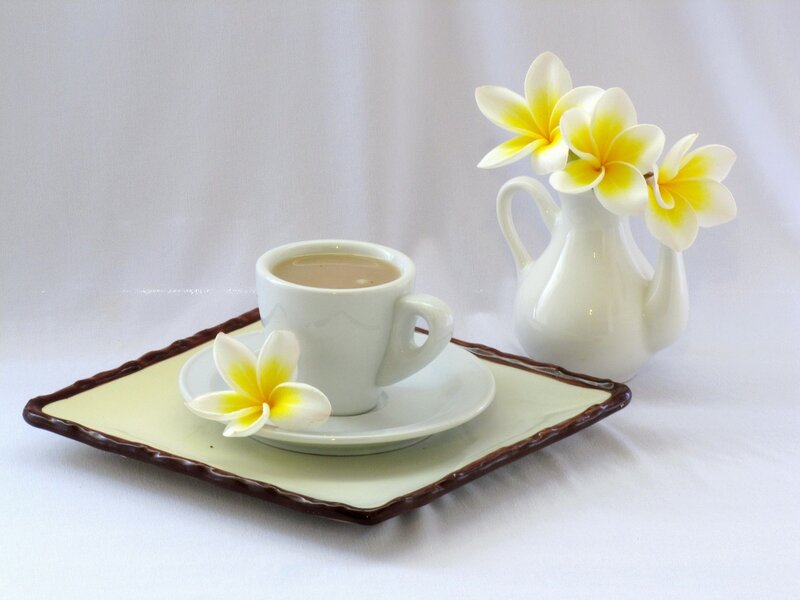 Coffee Cup with Flowers — White, Serene, Morning, Photograph, Vase