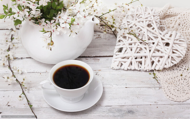 Coffee Cup with Flowers — White, Serene, Spring
