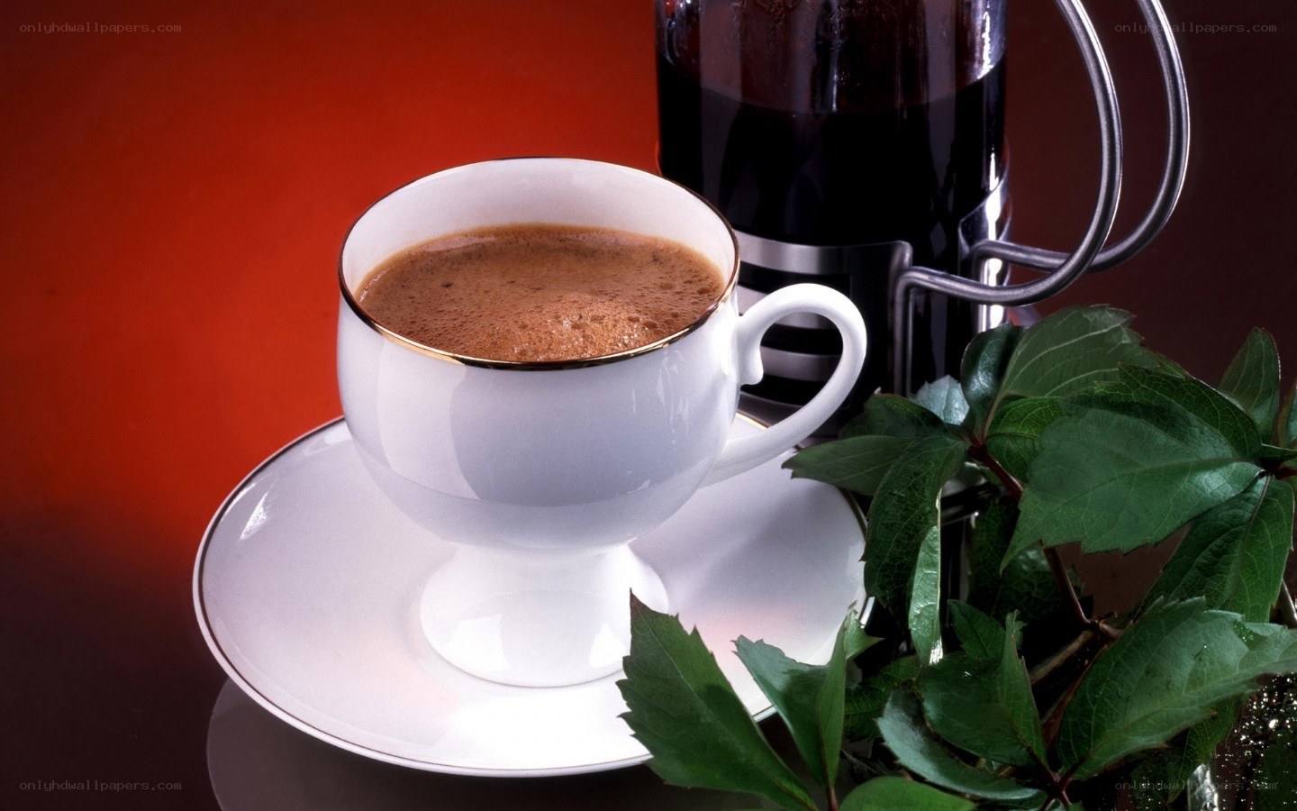 coffee cup with French press
