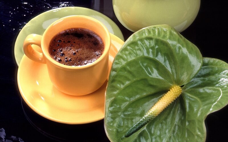 Coffee cup with green leaf